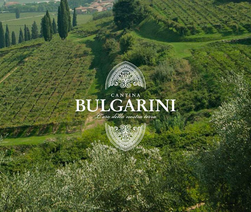 cantina bulgarini vigneti