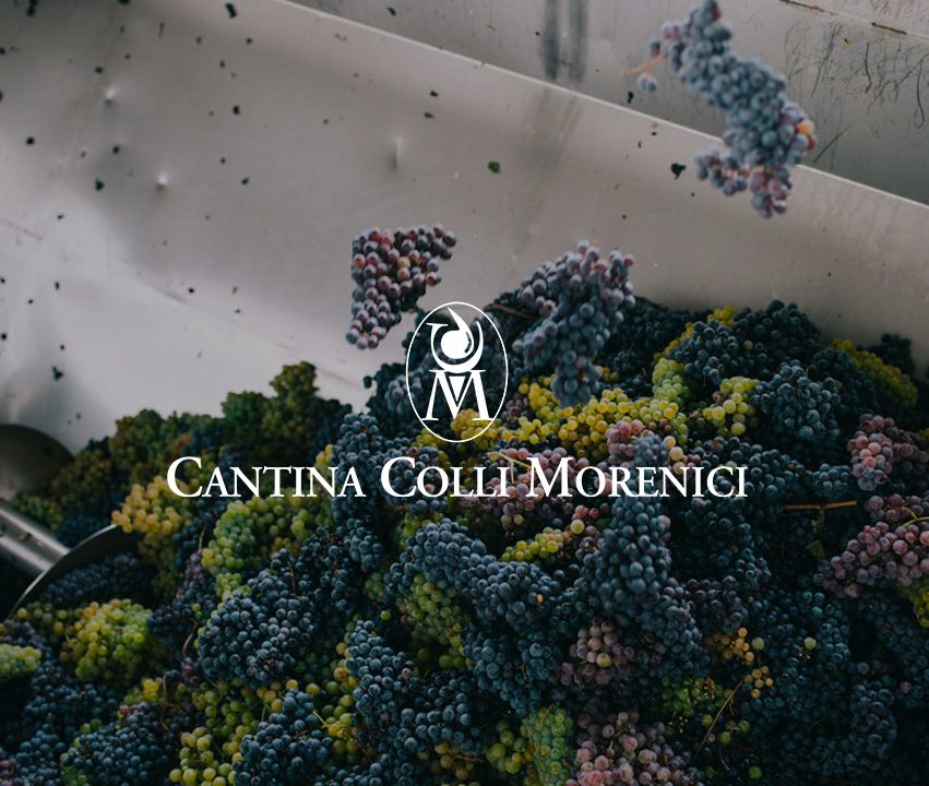 cantina colli morenici