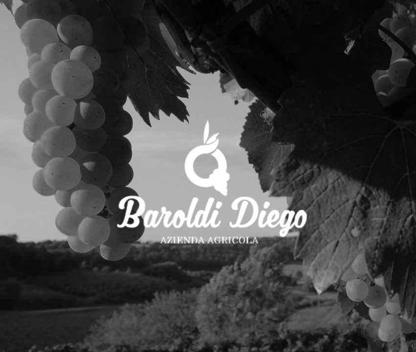 baroldi diego logo