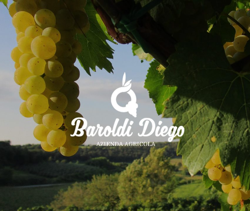 vigneto + logo baroldi diego