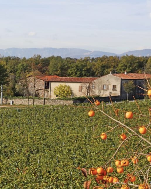 azienda agricola bottenago