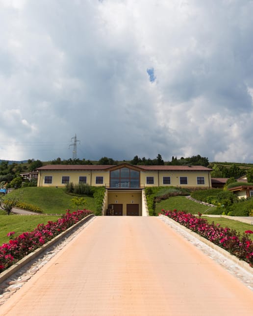 azienda agricola cottini