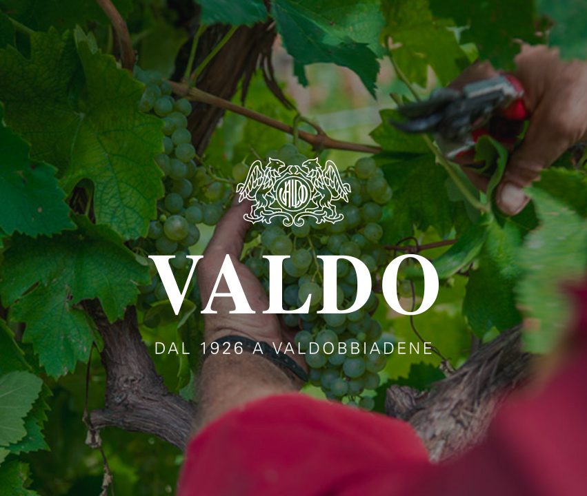 valdo cover