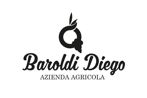 baroldi diego logo