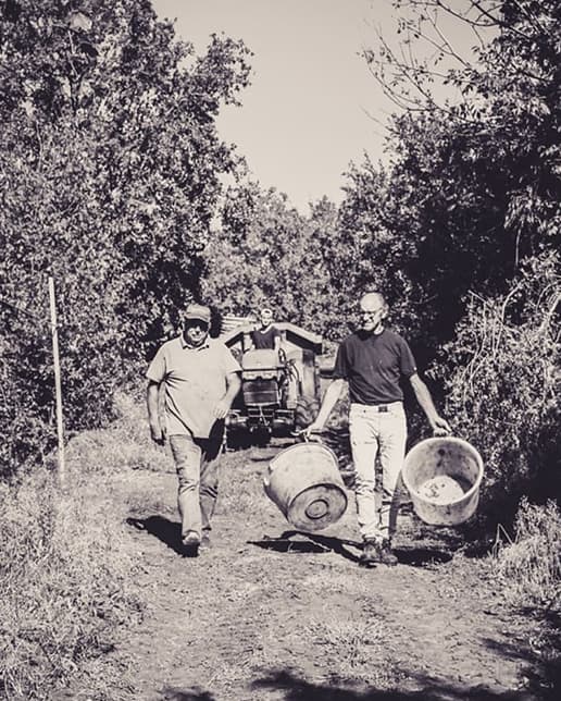 lavoratori vigneti cantina monte forte