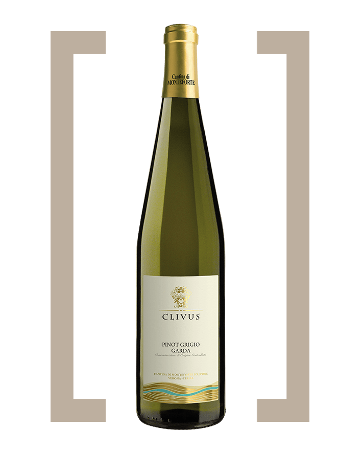 bottiglia pinot grigio monte forte