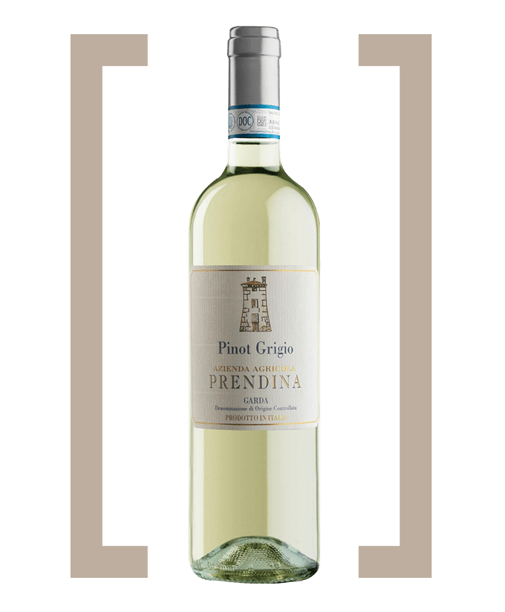 Pinot_Grigio_Prendina