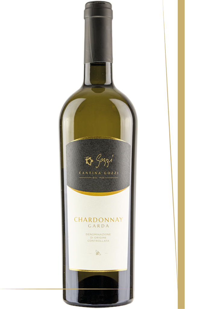 chardonnay cantina gozzi