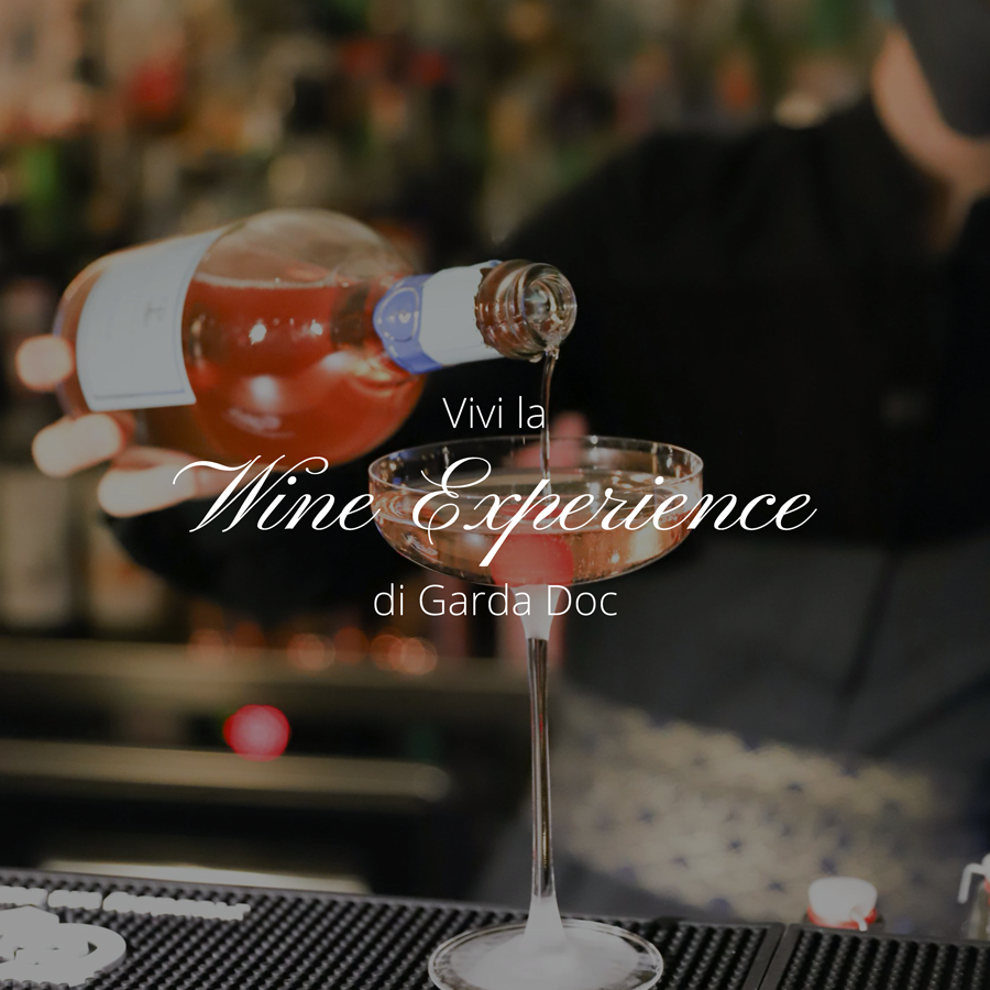 wine experience garda doc